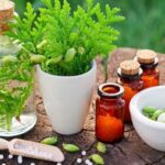 Ayurvedic Medicine Manufacturer in Delhi