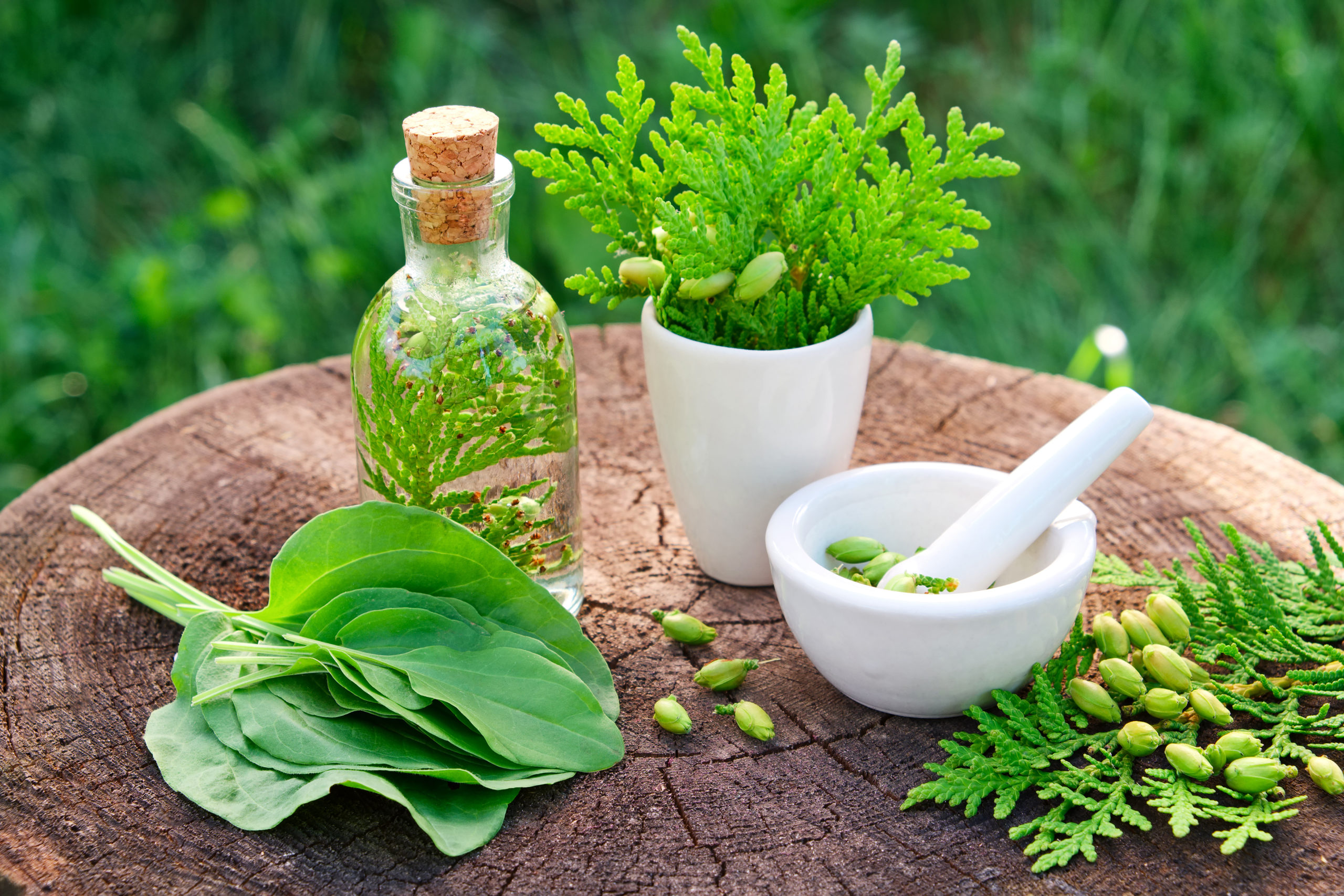 Ayurvedic Medicine Manufacturers in Lucknow