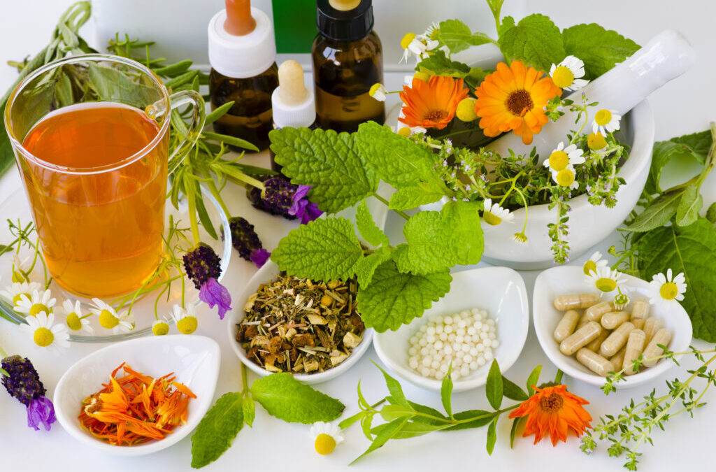 Top Ayurvedic PCD Company In Vadodara