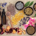 Top Ayurvedic Medicine Manufacturers In Visakhapatnam