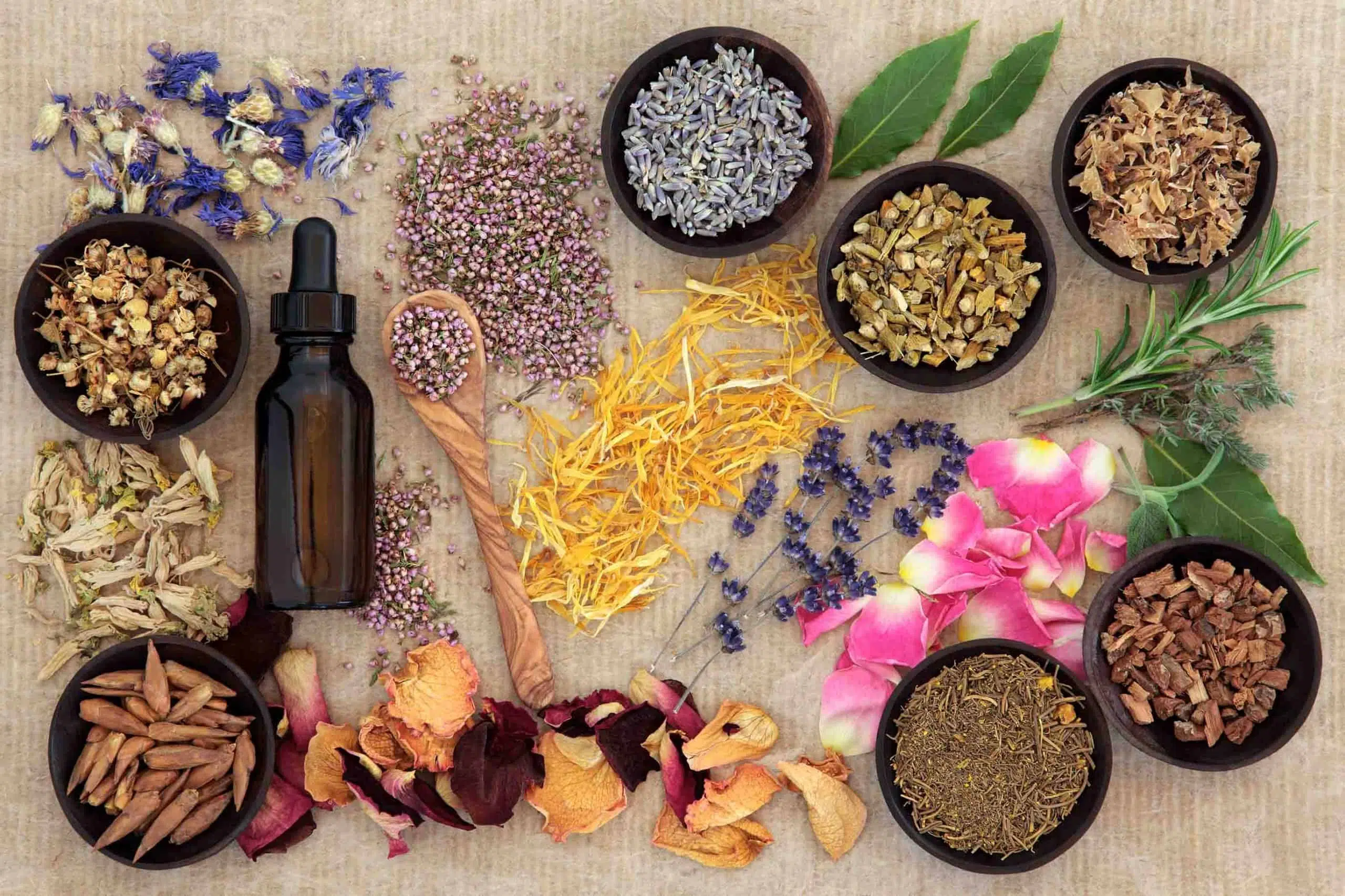 Top Ayurvedic Medicine Manufacturers In Visakhapatnam