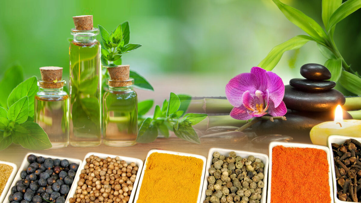 Top Ayurvedic Medicine Manufacturers in Meerut