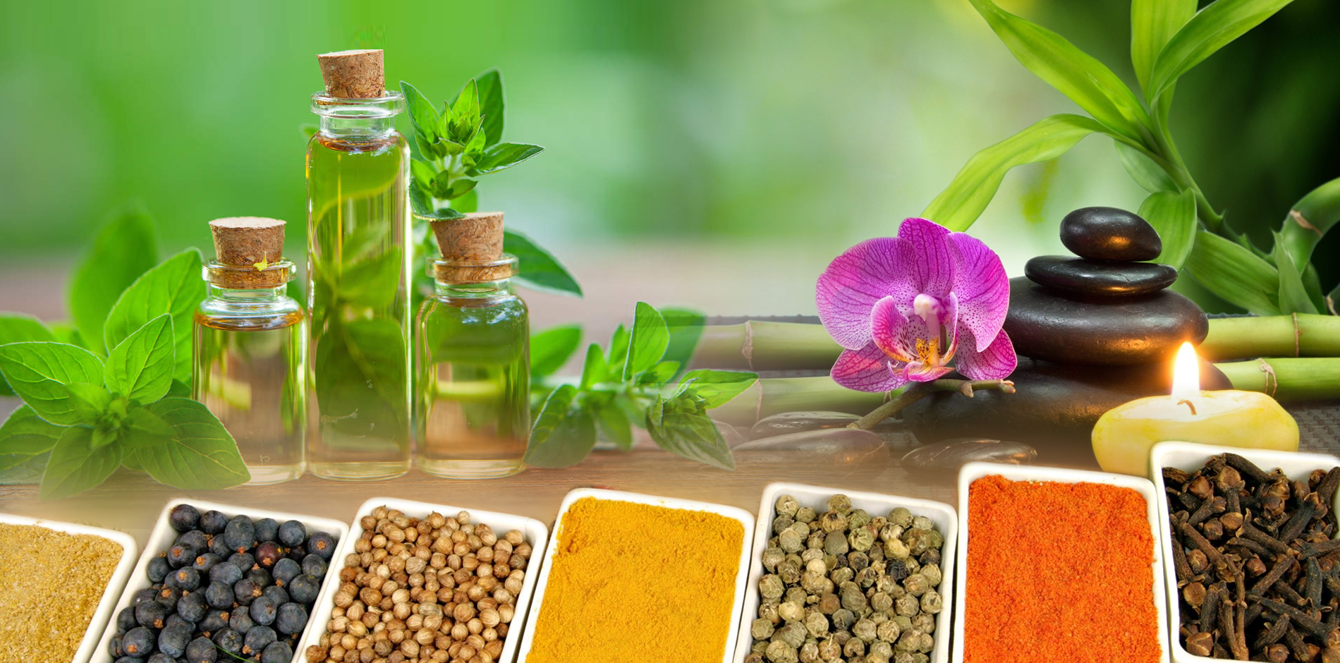 Top Ayurvedic Medicine Manufacturers in Meerut